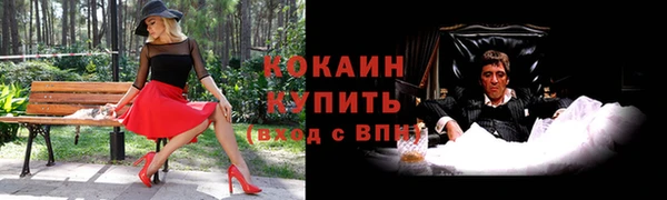 индика Новокубанск