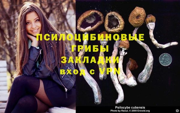 индика Новокубанск