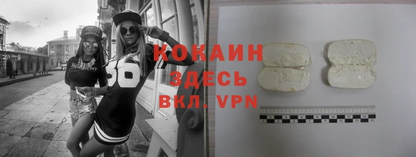 индика Новокубанск
