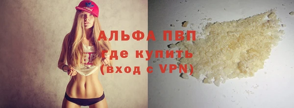 индика Новокубанск