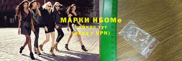 индика Новокубанск