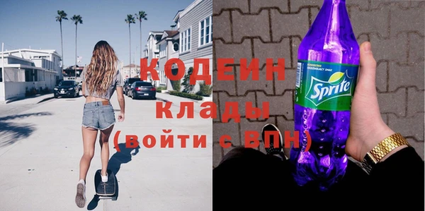 индика Новокубанск