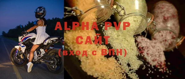 индика Новокубанск