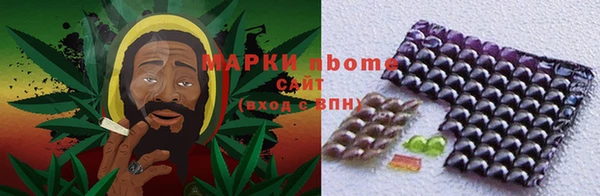 индика Новокубанск