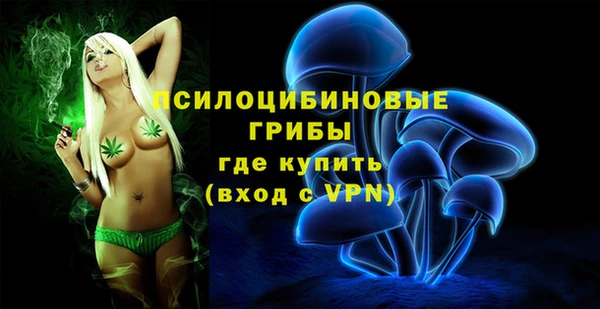 индика Новокубанск