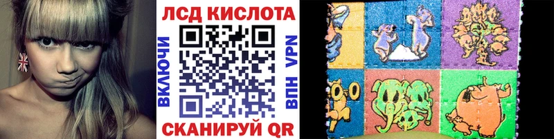 дарнет шоп  Долгопрудный  Марки NBOMe 1500мкг 