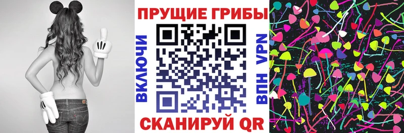 Псилоцибиновые грибы мухоморы  OMG как войти  Долгопрудный 