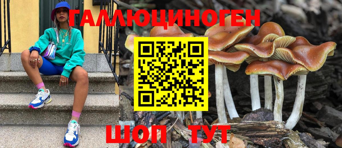 Галлюциногенные грибы GOLDEN TEACHER Долгопрудный