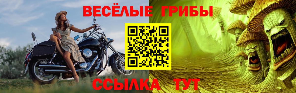 Галлюциногенные грибы Psilocybine cubensis  Вход с VPN  Долгопрудный 